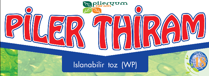 PİLER-THİRAM